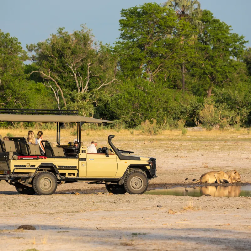 Safari Experience